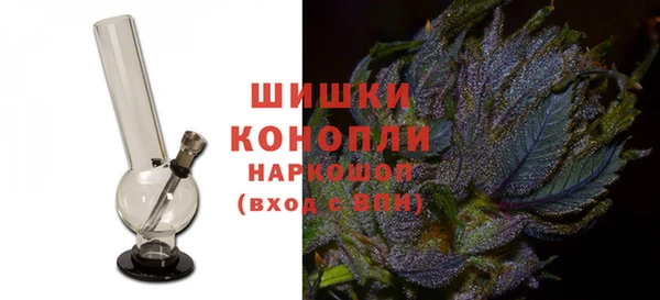 гашик Алексин