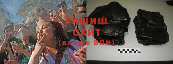 гашик Алексин