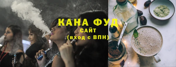 гашик Алексин