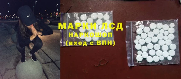 гашик Алексин