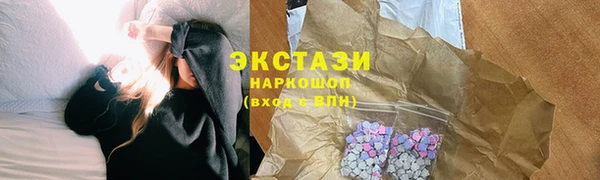 гашик Алексин