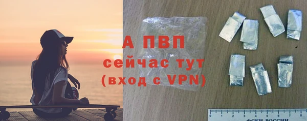 гашик Алексин