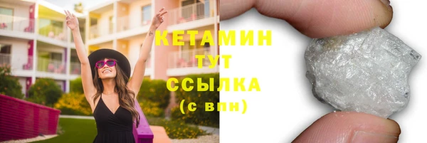 гашик Алексин