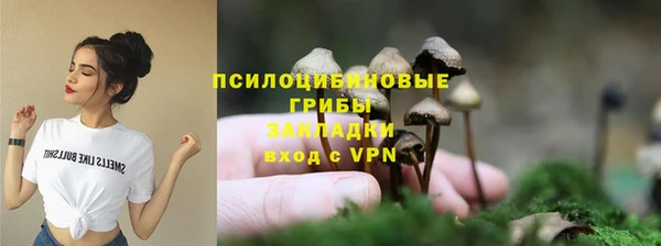 гашик Алексин