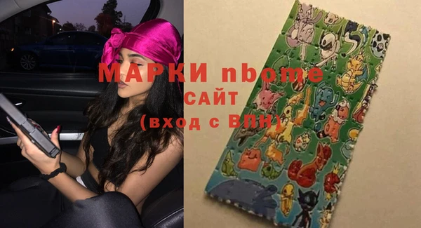 гашик Алексин