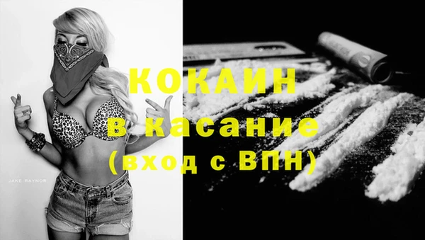 стаф Алзамай